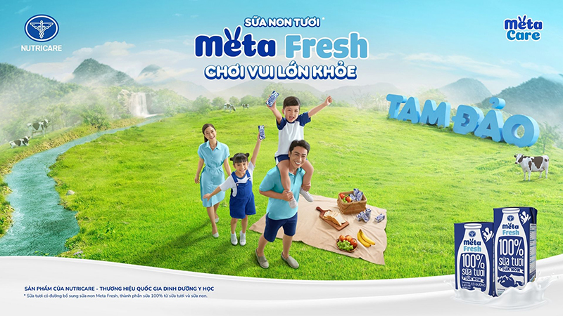 MetaFresh - Pencil Group
